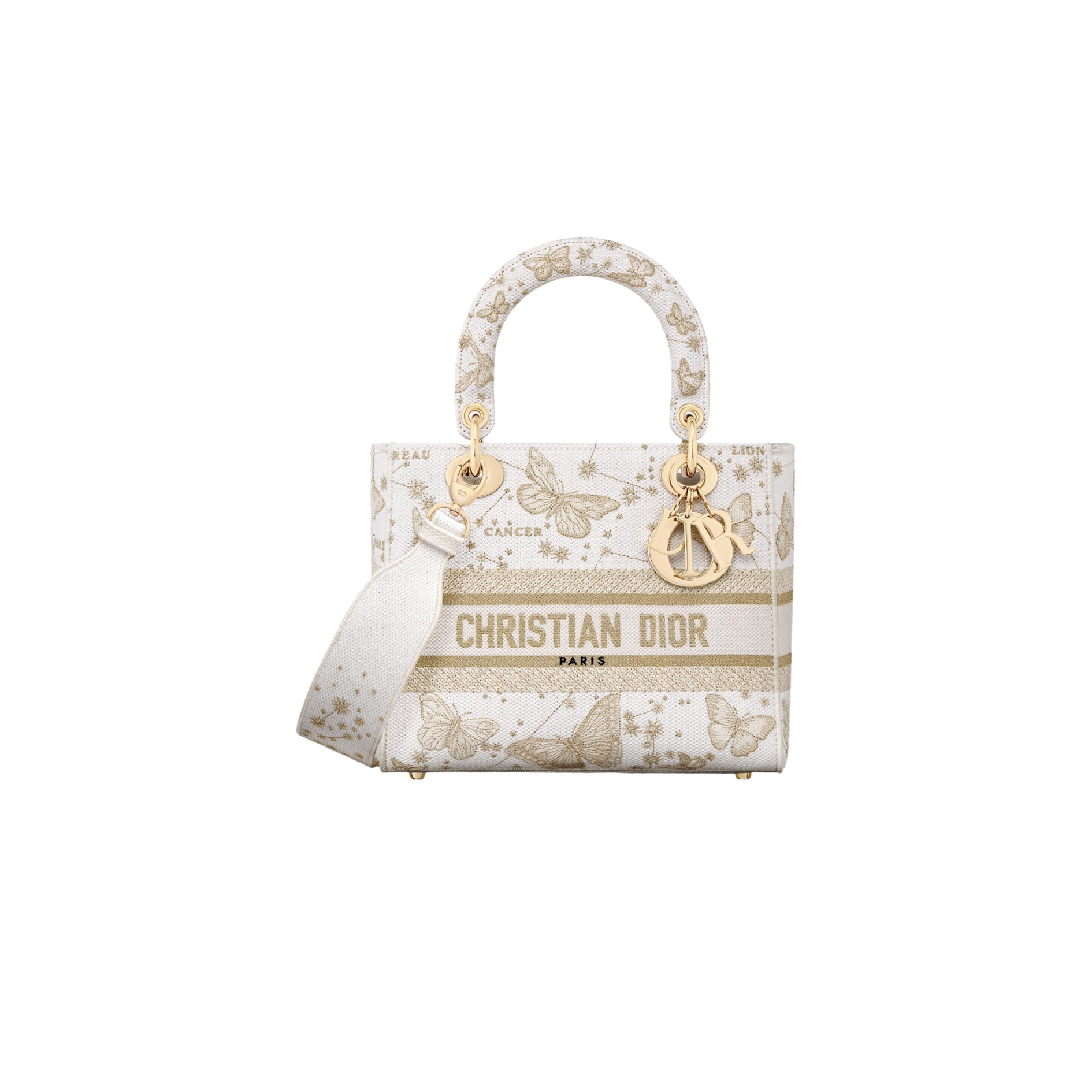 DIOR Christmas Medium Toile de Jouy Lady D-Lite satchel