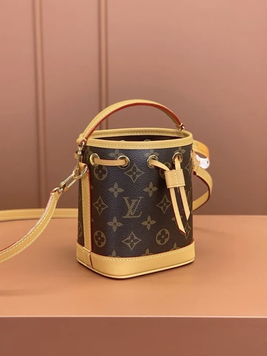 LV Nano Noé Monogram coated canvas