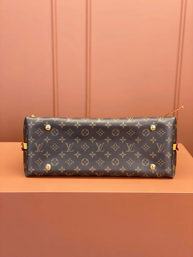 LV CarryAll PM/MM  Brown Shoulder Bag in Monogram Coated Canvas