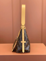 LV CarryAll PM/MM  Brown Shoulder Bag in Monogram Coated Canvas