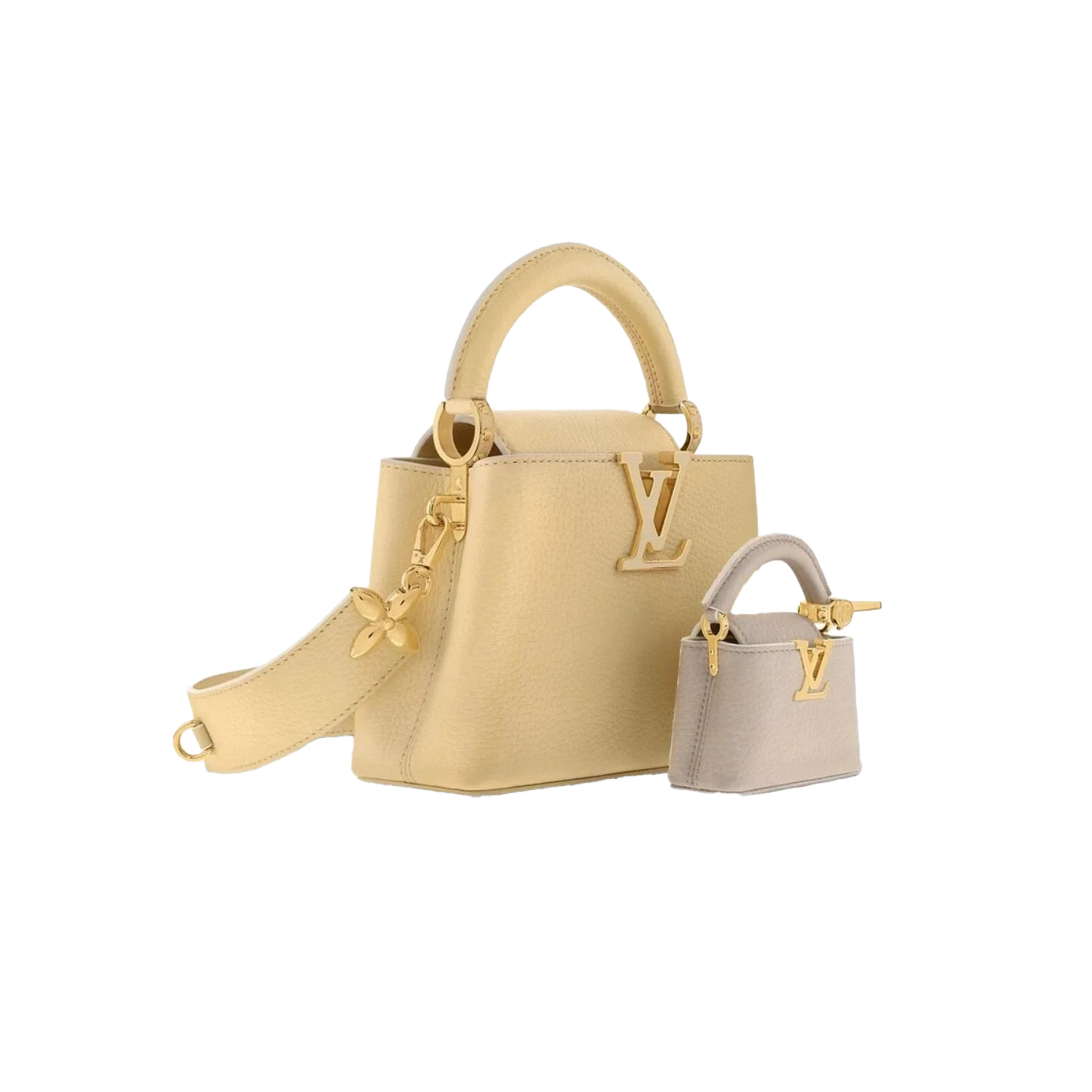 LV CAPUCINES Multi-Piece Bag Set
