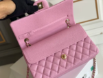 CHANEL Classique Flap Medium Handbag Caviar Leather
