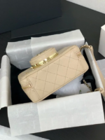 CHANEL 24s camera bag lambskin