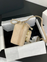CHANEL 24s camera bag lambskin
