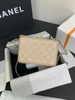 CHANEL 24s camera bag lambskin