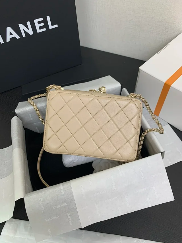 CHANEL 24s camera bag lambskin