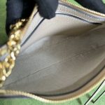 GUCCI Ophidia Strawberry Logo Pendant Chain Canvas with Leather Trim Underarm Bag