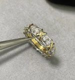 Tiffany Sixteen Stone Ring in Platinum with Diamonds