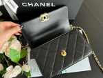 CHANEL Classic WOC with Double Gold Ball Charm