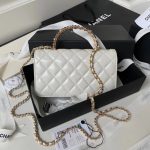 CHANEL Pearl-Embellished WOC Flap Bag