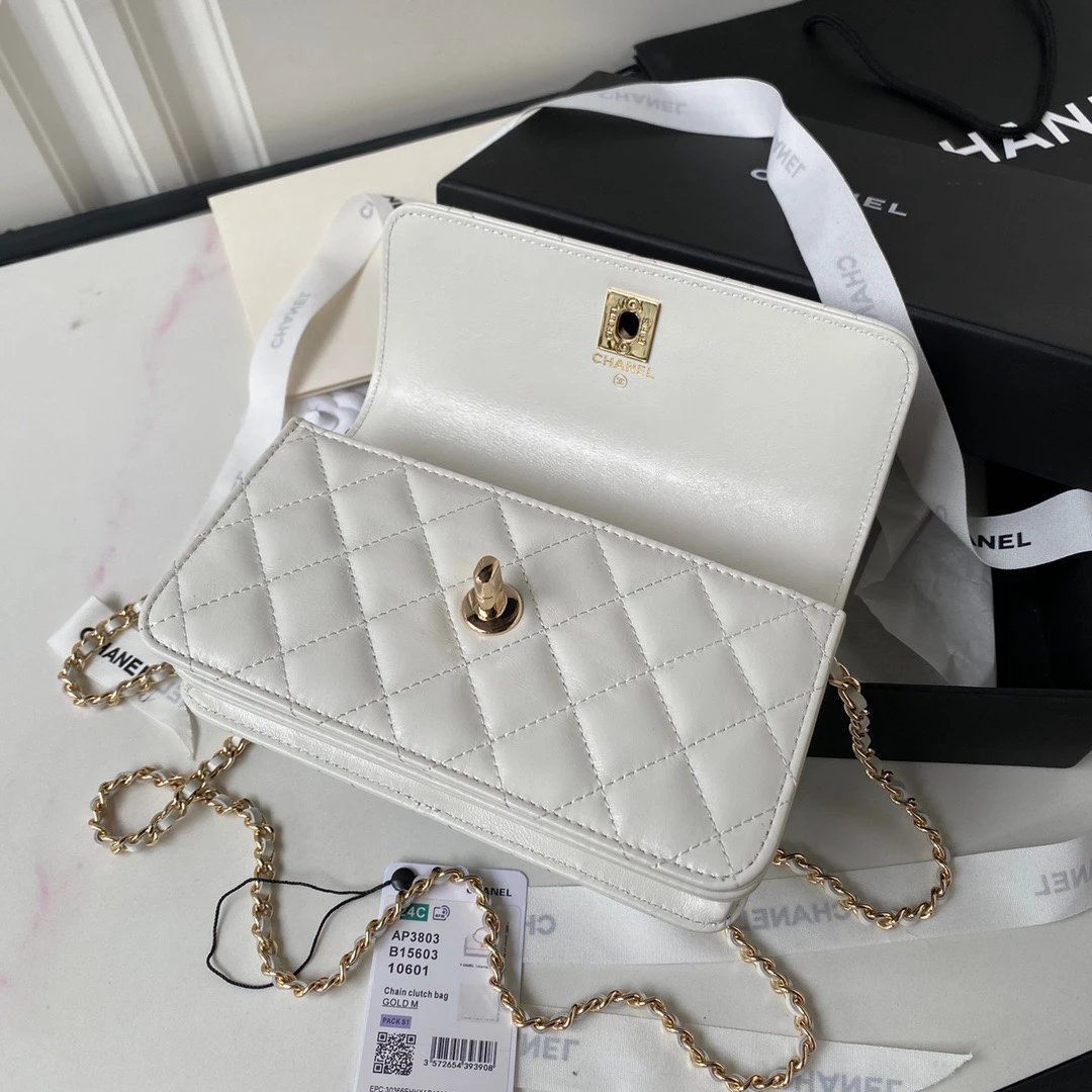CHANEL Pearl-Embellished WOC Flap Bag
