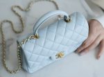 CHANEL Classic Flap CF MINI Handle - Rare color