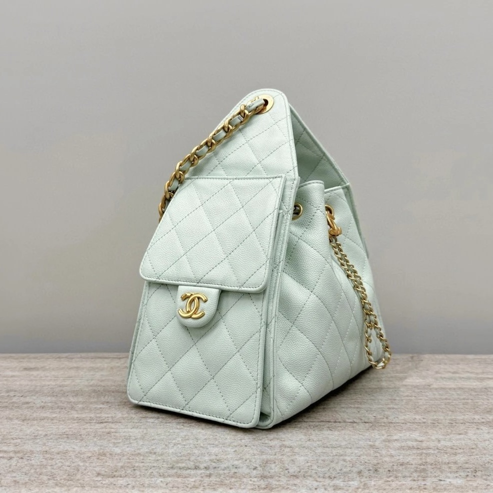 CHANEL 25C Hobo Bag Caviar leather-Color series