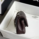 CHANEL Classic Mini Bag with hook
