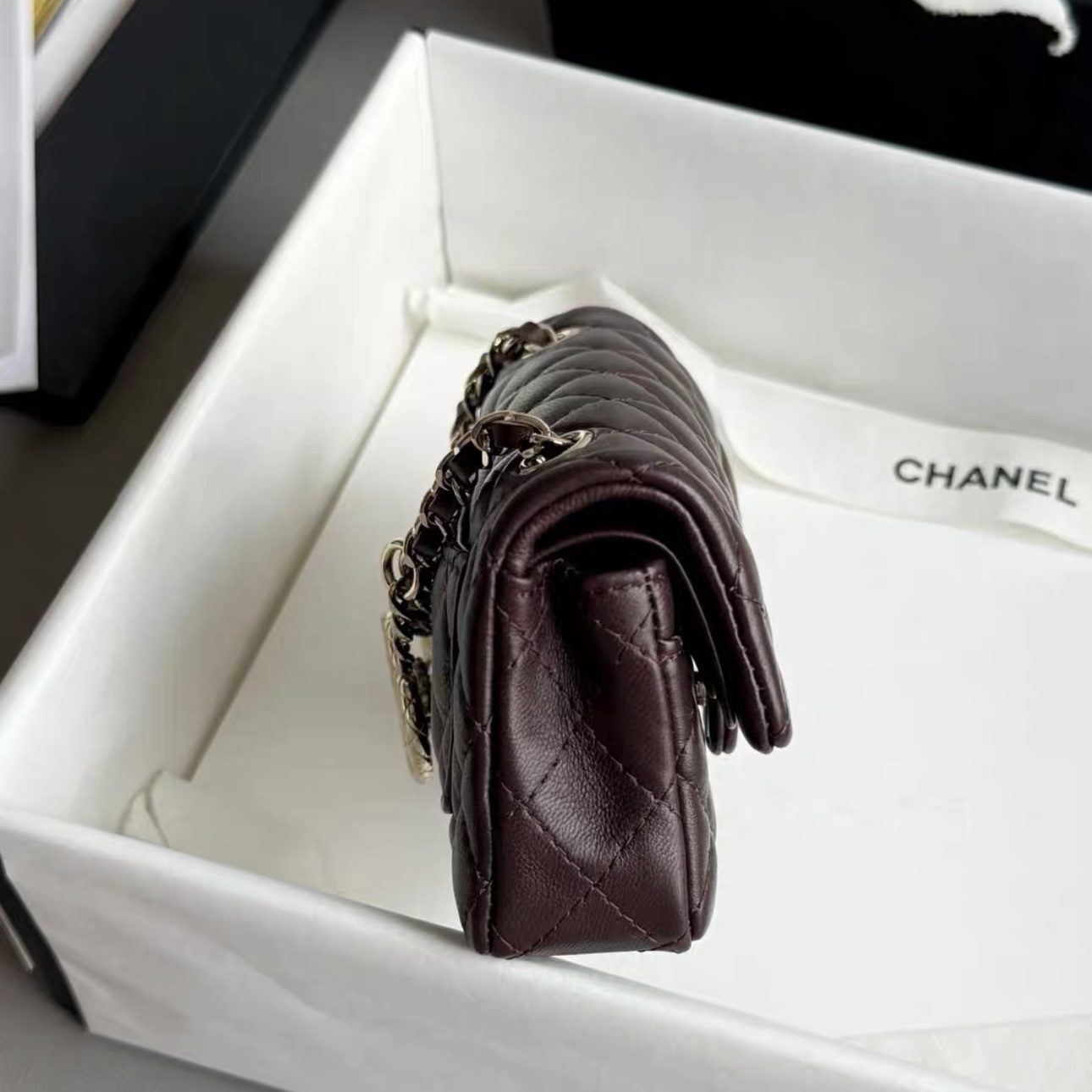 CHANEL Classic Mini Bag with hook
