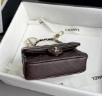 CHANEL Classic Mini Bag with hook