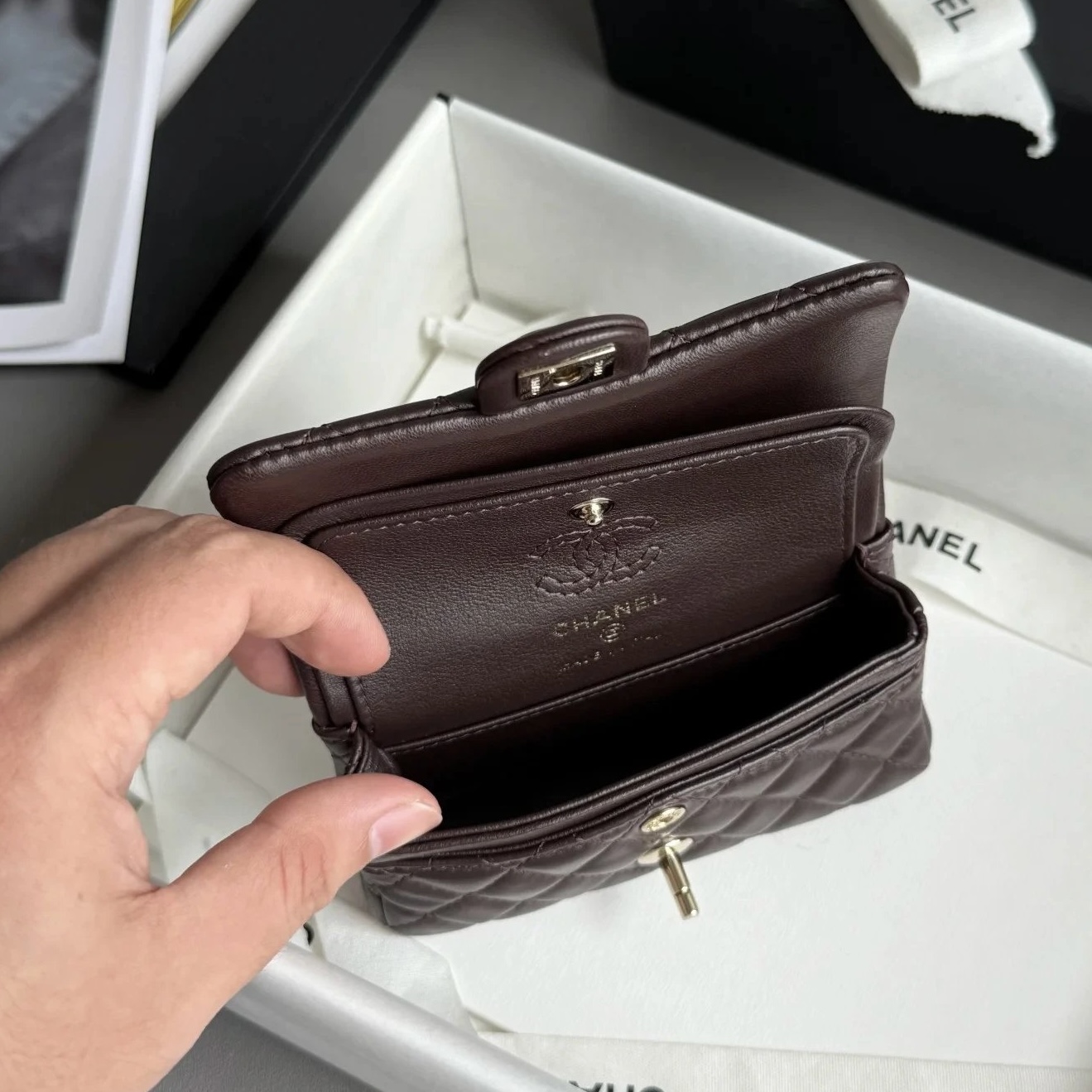 CHANEL Classic Mini Bag with hook