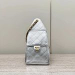 CHANEL 25C Hobo Bag-Metallic color
