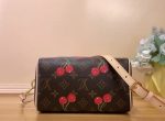 LV X TM Cherry Collection - Brown Monogram