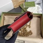 GUCCI Dionysus Chain Wallet leather crossbody bag