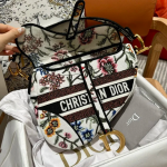 DIOR Saddle