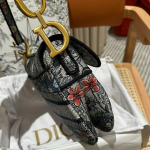 DIOR Saddle