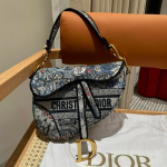 DIOR Saddle