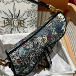DIOR Saddle