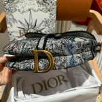 DIOR Saddle