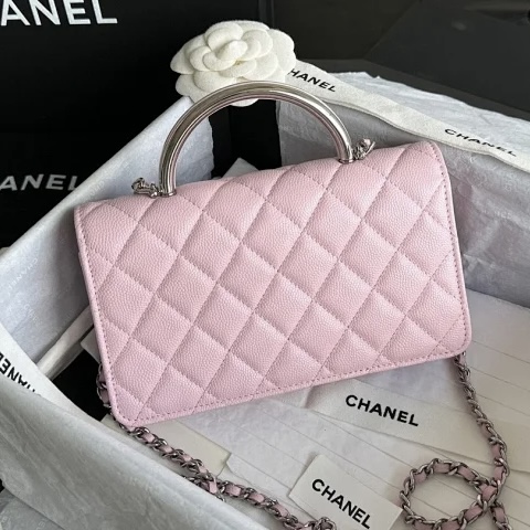 CHANEL Clutch With Chain Handle bag