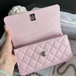 CHANEL Clutch With Chain Handle bag
