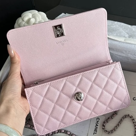 CHANEL Clutch With Chain Handle bag