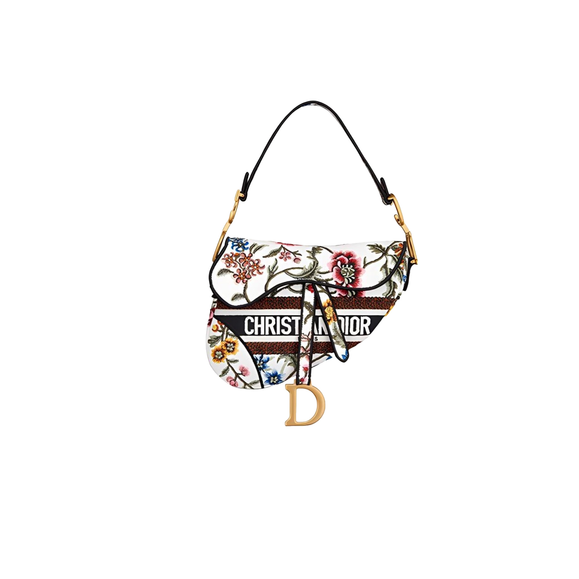 DIOR Saddle