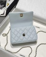 CHANEL 25S Cococrush handle handbag
