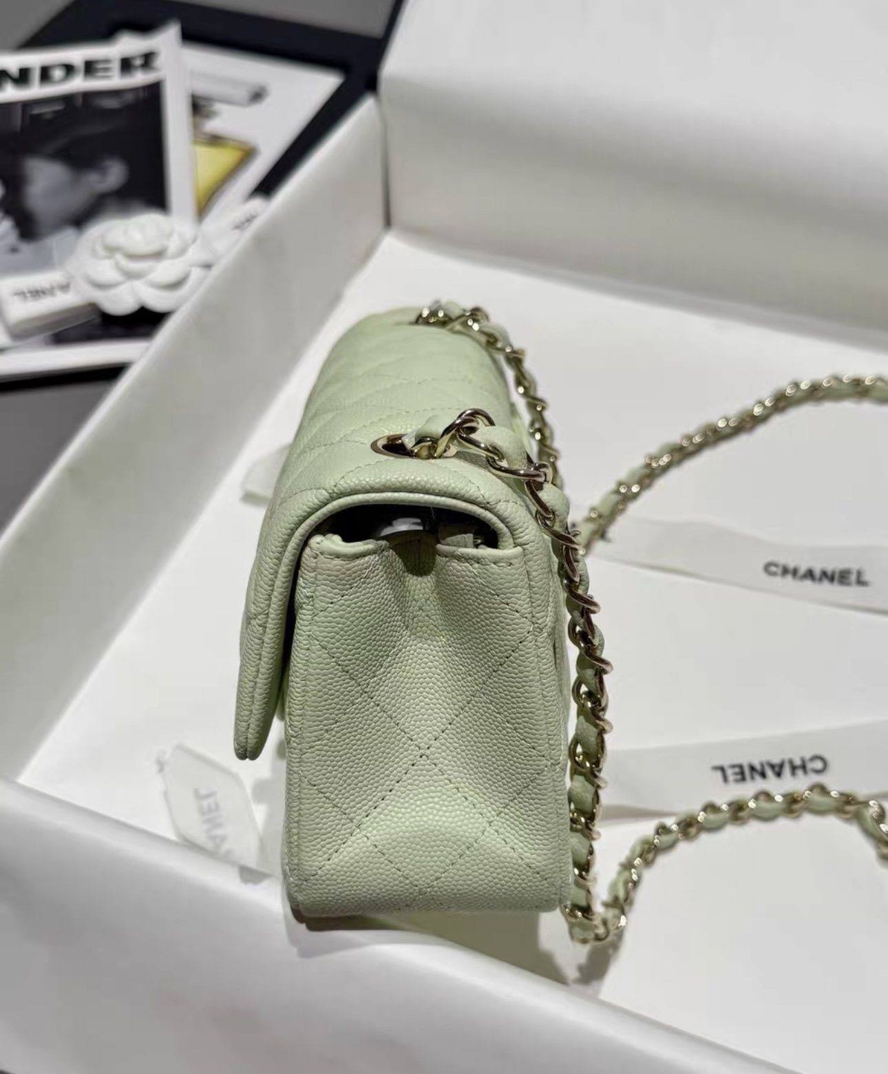 CHANEL Mini Classic Handbag Caviar Leather 20CM-Curated Rare Colors