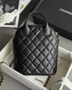 CHANEL Clutch with chain