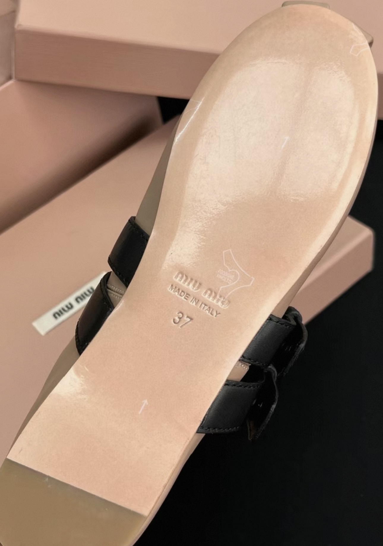 MIUMIU Nude Lambskin Ribbon Buckle Ballet Flats