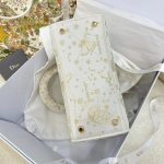 DIOR Lady D-Lite Butterfly Zodiac