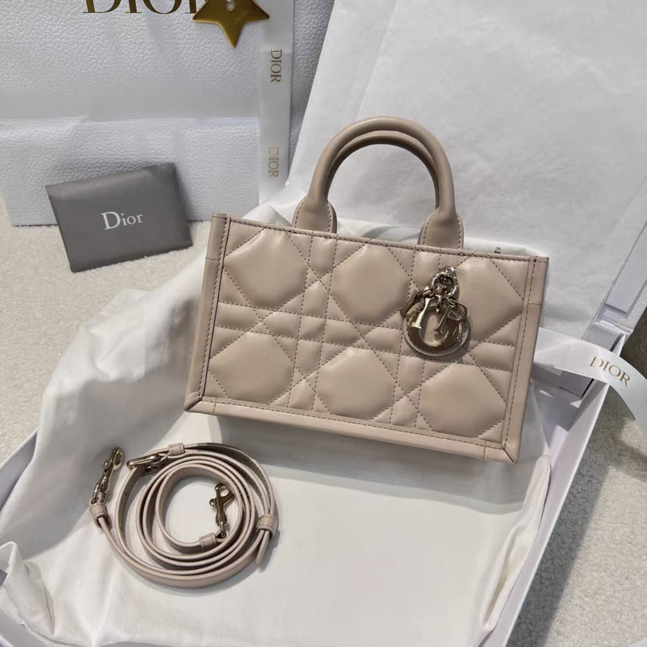 DIOR Book Tote